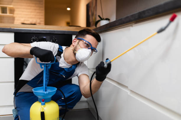 Best Pest Prevention Services  in Glenmora, LA